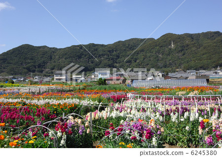 Chikura花園 Chikura花園 6245380
