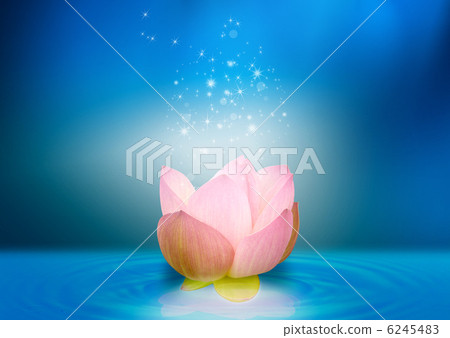 藍光和蓮花 藍光和蓮花 6245483