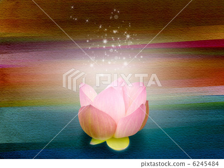 彩虹和光和蓮花 彩虹和光和蓮花 6245484