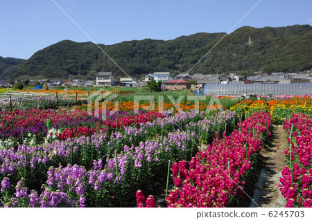 Chikura花園 Chikura花園 6245703