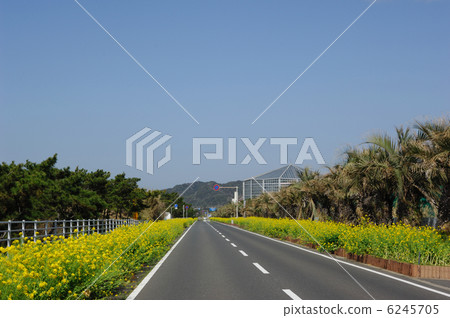 博索花線 6245705