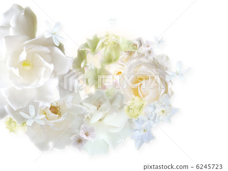 漩渦開花背景白色背景 6245723