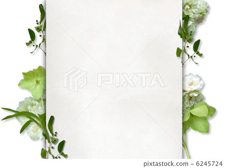 看在本文下的綠色花 6245724