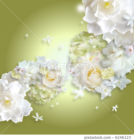 白花(綠色) 白花(綠色) 6246123