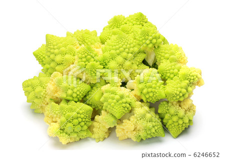 Romanesco 6246652