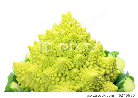Romanesco 6246656