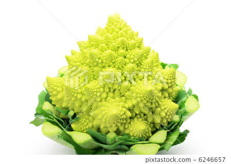 Romanesco 6246657