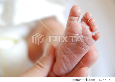 新生兒的腳 新生兒的腳 6246959