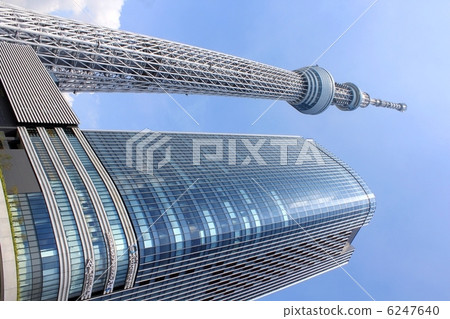 Sunny sky tree sky tree and east tower 6247640
