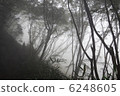 Climbing Mountain Sunrise After the rain fog 6248605
