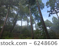 Mountain climbing Sunrise Mountain after the rain 6248606