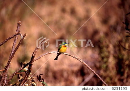 Powered by Discuz！ 6251193