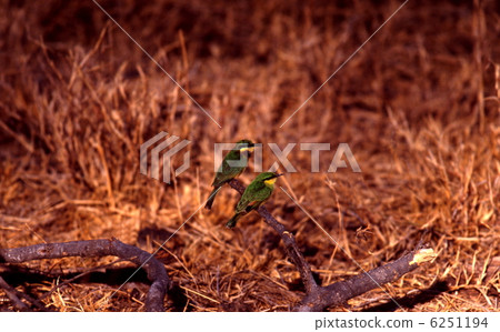 Powered by Discuz！ 6251194