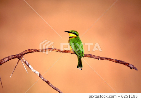 Powered by Discuz！ 6251195