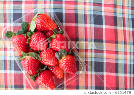 塑膠包裝的新鮮草莓 新鮮水果 塑膠包裝的新鮮草莓 新鮮水果 6251479