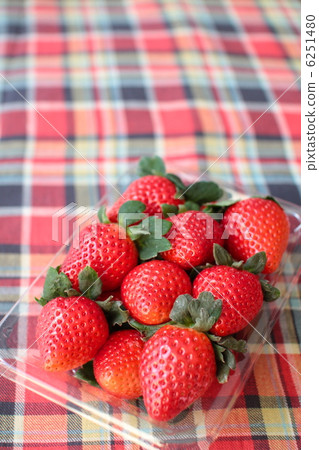 塑膠包裝的新鮮草莓 新鮮水果 6251480