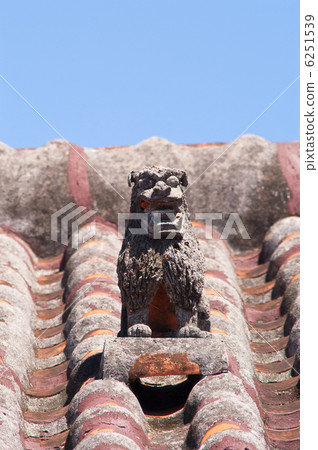 SHISA 6251539
