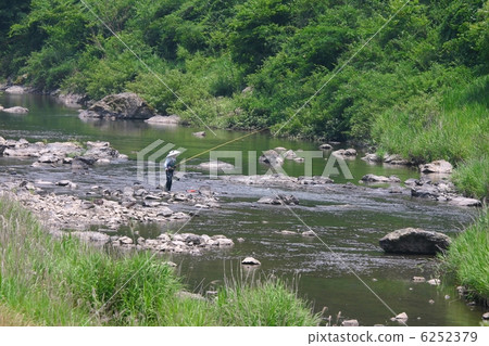 Fried ayu Fried ayu 6252379