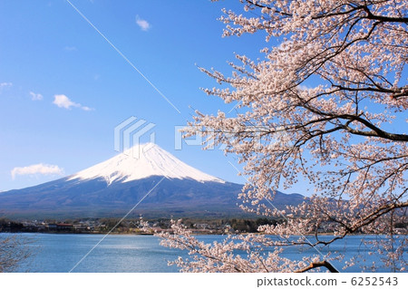 Mt. Fuji stained in spring color 6252543