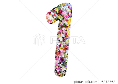 Flower number 6252762