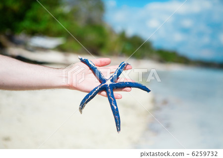 Man holding blue starfish on perfect tropical white sand beach 6259732