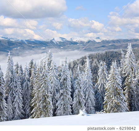 Winter mountain landscape 6259842