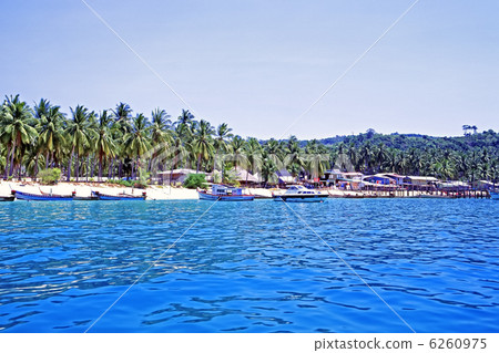 Phi Phi holiday 6260975