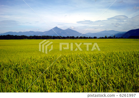 Countryside and Bandai mountain 6261997