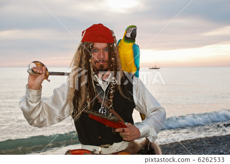 Pirate with a parrot Pirate with a parrot 6262533
