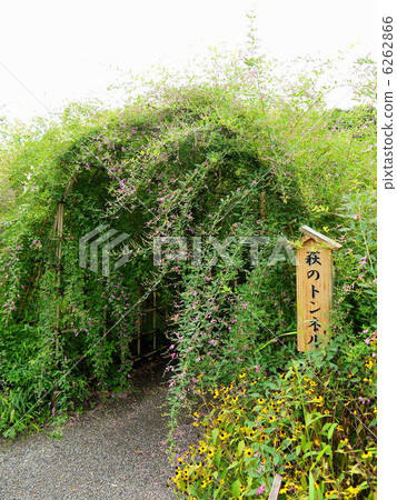 Mukojima Hyakuen 6262866