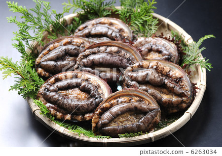 Abalone 6263034