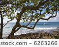 Turtle Bay 6263266
