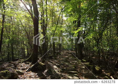 Mineyama Plateau 6263278