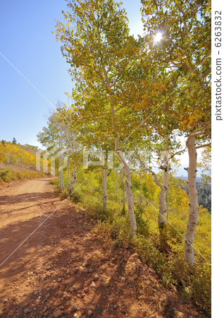 秋天紅色地面鄉下公路 6263832