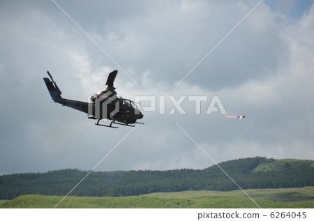 Cobra shoot! 6264045