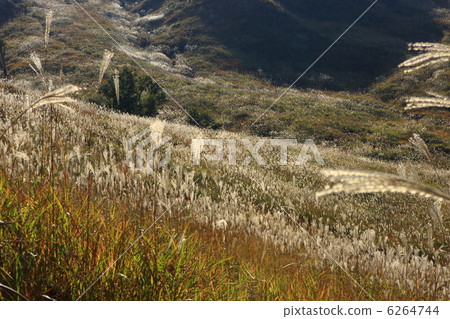 Tonomine Plateau　 6264744