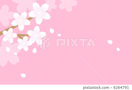 櫻桃樹 櫻桃樹 6264791