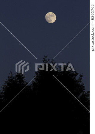 The moon of the evening night Kurihisa Moon The name of the moon Mushi no mo The moon of the evening night Kurihisa Moon The name of the moon Mushi no mo 6265763