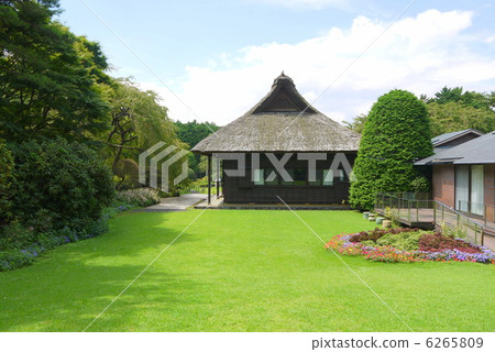 秩父紀念公園 6265809