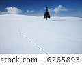 白雪皚皚的聖誕樹和北千狐足跡 6265893