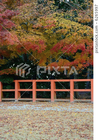 Kamigamo Shrine, Autumn entrance 6265997