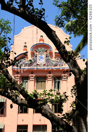 夏威夷皇家夏威夷人 6266105