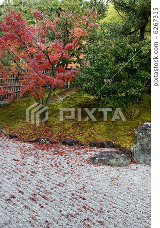 Kotonji Temperance Kayama Water Garden Kotonji Temperance Kayama Water Garden 6267315