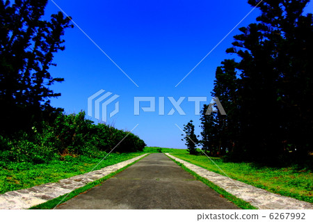 Blue sky and one road Blue sky and one road 6267992