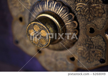 隱藏在李子池的Nymen 隱藏在李子池的Nymen 6268049