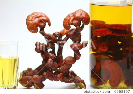 Reishi Reishi 6268197