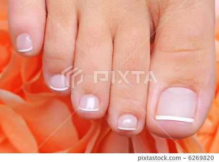 french pedicure on a well-groomed toys 6269820