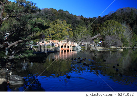 白水Amidado 6271052