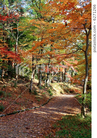Niigata Nakano House/Maple Garden Niigata Nakano House/Maple Garden 6271266