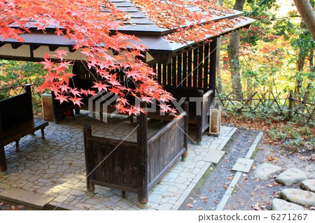 Niigata Nakano House/Maple Garden 6271267
